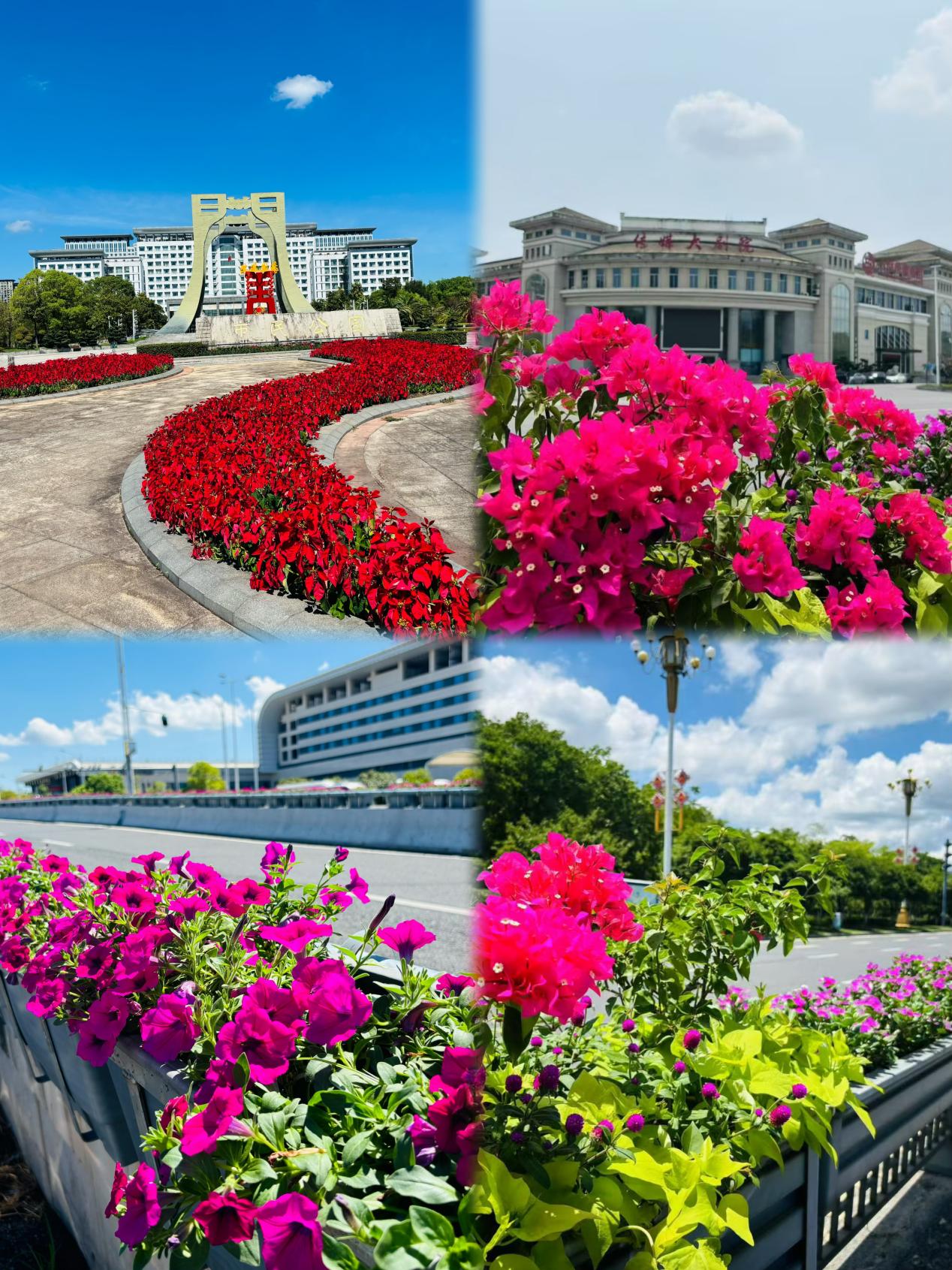 274cfc3bc405eaea0233d1a40d2fcc39.jpg 2.jpg